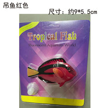 5286caffab611d87c24d304025c9ff67