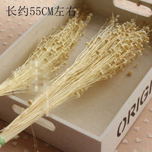a041f82dc027a1b67d39207d224a7dd6
