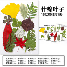 0555c3ff6d4de09b7a53cce3f89fc3f1