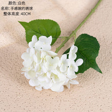 04bf48d5be6efdc21833bc98228108d4