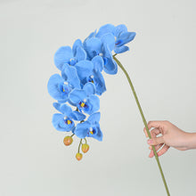 a83c4bb39b60402eae4682a10a3e1bed