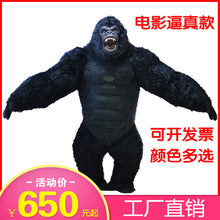 a60ec520b7b6dc8f15b334d0a1e55a06