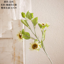 68ca8b6af57b66e253eed9f1466a3c77