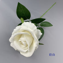f48648ccbd0cecde5645b4d09244b562