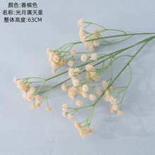 ccacbf60ab3d2a125197294df779aa7d