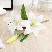 8a62f757b7d23eba6fd9dba5c47f6390
