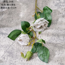 c4ddb151168797ce2ae26404f9677cac