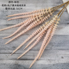 37d5c3d843bcc48543e61cbeaa62ab5a