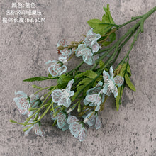 e650d64cf4f997719402659748711cdf