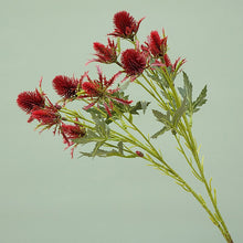 ab5748d32aa639ae4454dbbe97cbc3ba