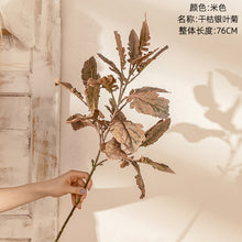 a8f971a2767594d954c6ac5bfb7a412a