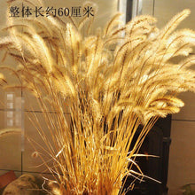 cf46715d66797433daa787d039a3acf2