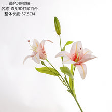 42c0ad9c90a0d9ab4801cc87b1c282f3