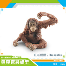 a89fc22ec3595c5881582b997ffb0214