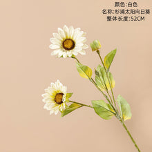 0c2ecd295d2d2f7a2bdf3a83798c5293