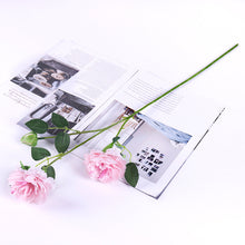 a48d54badcdf541b7fac0bb5b12f4fa9
