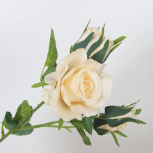 7a0a74a9ba17b7abf7de1320c341ab66