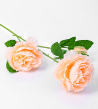 0b6c12fd4c8ab4c4f4e552bbc15bb0c1