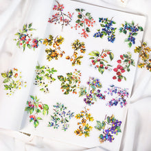 21b2c7dd5d14a5754936fb35c61b9504
