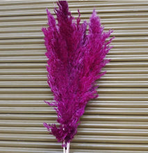 a4c1ef39c65eaa7544cbf35098a38a65