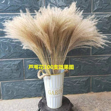 c5d0c4ed1944df70eb47393b358c431a