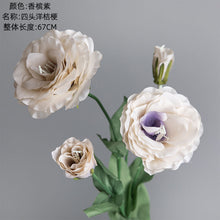 aeb6cb9f4a33db9fe82b0e3862b61dfc