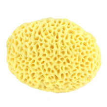 8ce403e7eee91bd22228f435b9afea33