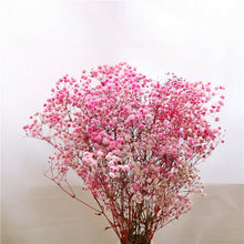 2ae43d3a381097fd009a97f2f1ab92df