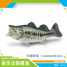e37eaca504335f3a5daae4f8869cee26