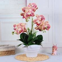 68aed35b18b5b65dd8396b989b47ea9a