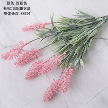 7ed75ef822091676f61ac932dd258f45