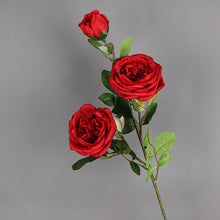 2bb44d1a710339831432bdc661ce0140