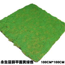 3d0636fec3cc1a71c12a32f820e14fc7