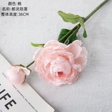 8705e2ba401ce2eec12fc78f0983e4eb
