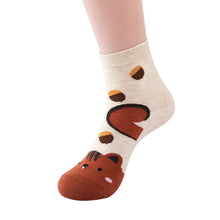 8e2e1b1c350ae67a09f3386204ad2248