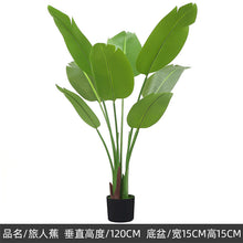 369165a62eb54cc9adbc398501d3da8a