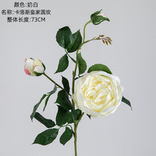 13626cc85ad69db2c9cb30af4a7ca986