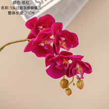 9470284ccfefb34f465662fbe4149fc3