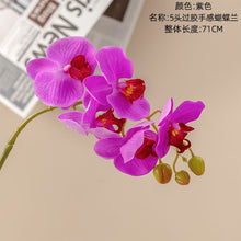 88751fe85ae50ac1ac42d9f83762b6ca