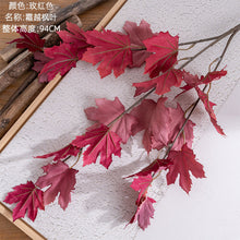 970554a09631bd68ec5aaaa8b385564a