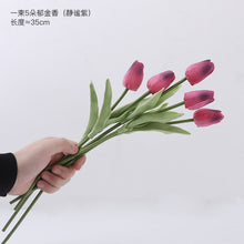 5aa01e3cb74aac9b183112997598c7ad