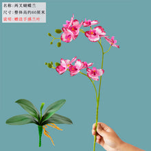 dd5f158a894dd5d113cb311d9628653a
