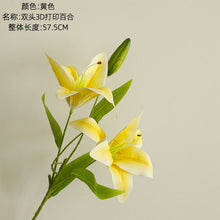 995cf58794d6d63c22eeea2ce8a4e514