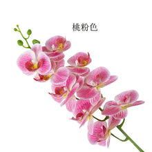037d35cb1c5ca6516a302eb642f3d2c5
