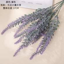 2388b1b5575d514a0fb27987ea8ff9d9