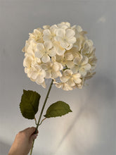 6f03e71d9755aa4fe0580867966cfae5