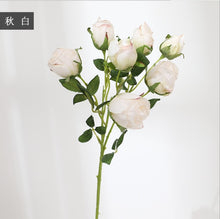 5d61852be52b13992f0c43eb8e011f46