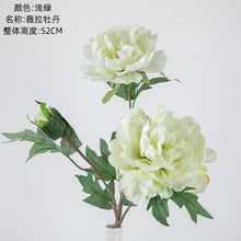 1d5961e52bbf043cc2f37ebdb242ce59