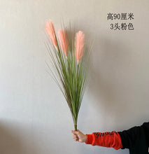 8d77b1758b36ec02a68610b58f3fea29