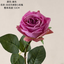 2d2bed25ee6e3f50ee5fbb95cc1b2e40
